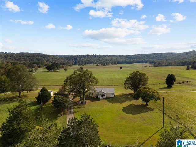 11175 GALLANT ROAD, Gallant, AL 35972