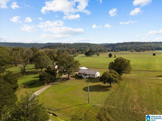 11175 GALLANT ROAD, Gallant, AL 35972