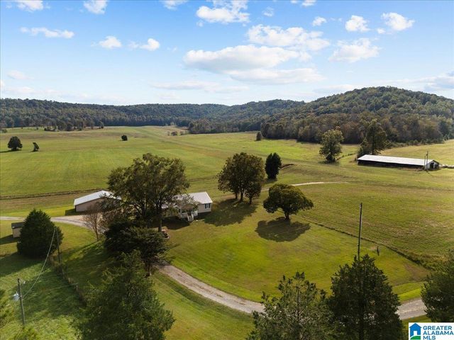 11175 GALLANT ROAD, Gallant, AL 35972