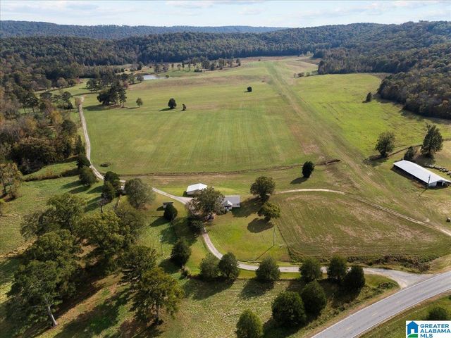 11175 GALLANT ROAD, Gallant, AL 35972