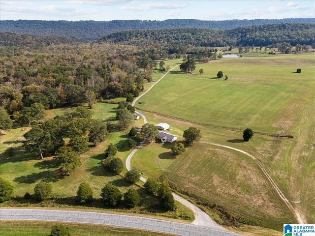 11175 GALLANT ROAD, Gallant, AL 35972