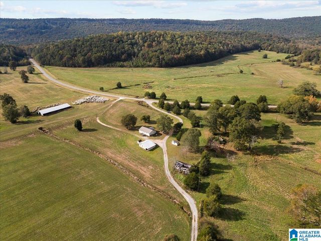 11175 GALLANT ROAD, Gallant, AL 35972