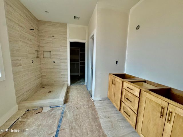 122 Adriane Cove, Nesbit, MS 38651