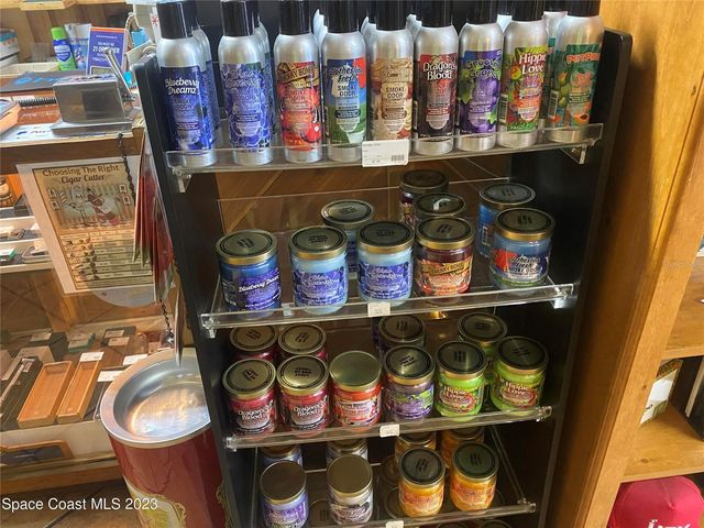 221 S HOPKINS AVENUE, Titusville, FL 32796