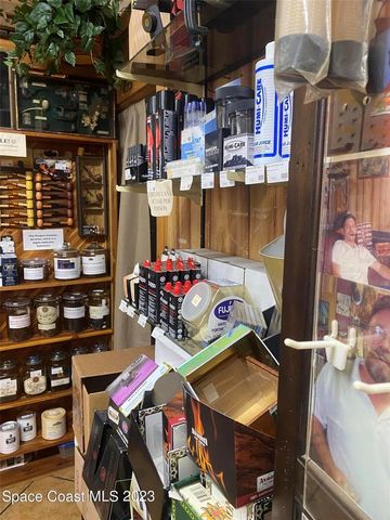 221 S HOPKINS AVENUE, Titusville, FL 32796