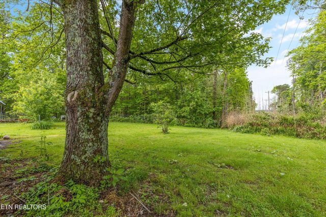 9438 Morgan County Hwy, Sunbright, TN 37872