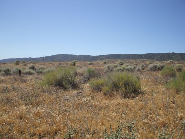 113 NW Vic Ave K St W Avenue, Del Sur, CA 93536