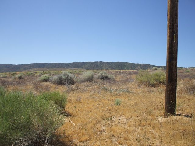 113 NW Vic Ave K St W Avenue, Del Sur, CA 93536