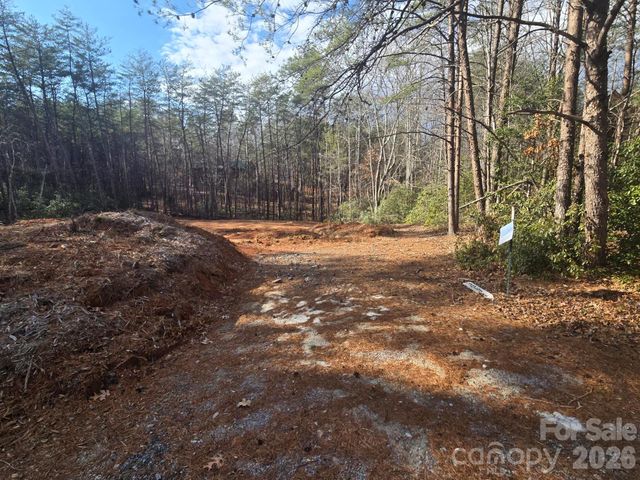 Lot 38 Dalton Court, Lake Lure, NC 28746