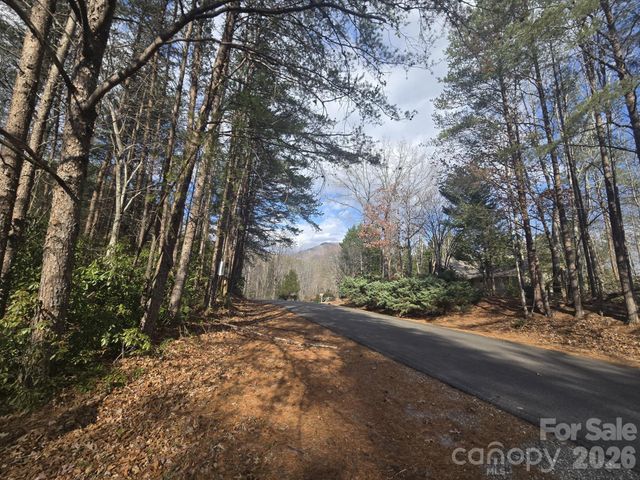 Lot 38 Dalton Court, Lake Lure, NC 28746