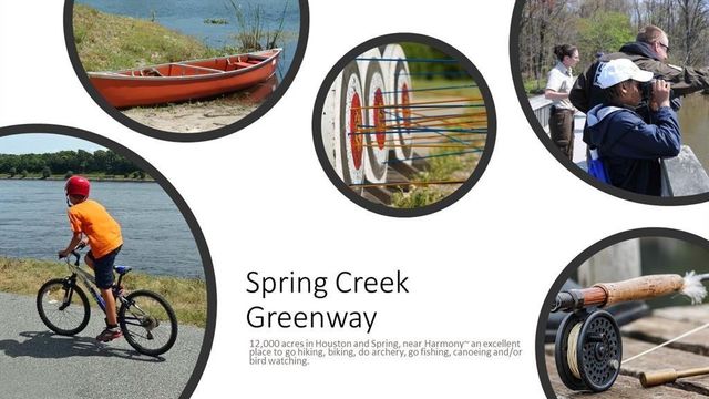 4420 Mimic Drive, Spring, TX 77386