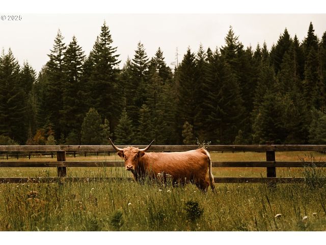 230 JENNINGS Rd, Trout Lake, WA 98650