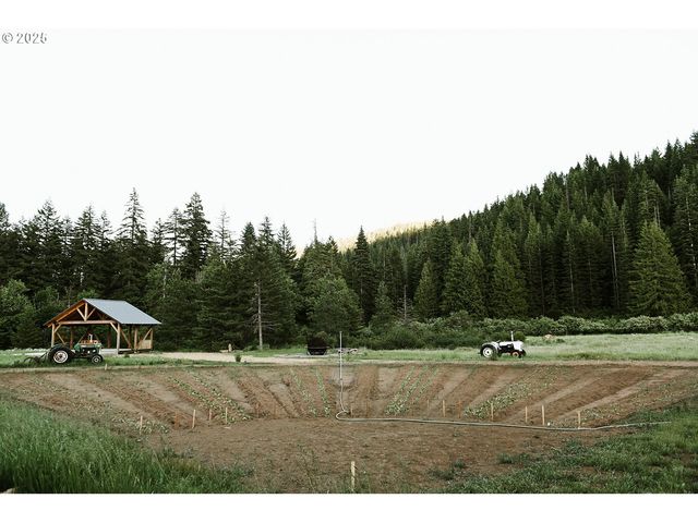 230 JENNINGS Rd, Trout Lake, WA 98650