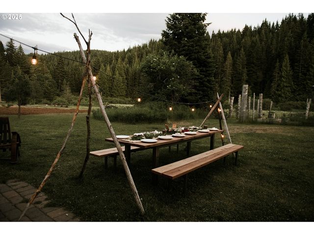 230 JENNINGS Rd, Trout Lake, WA 98650