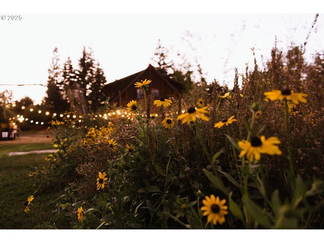 230 JENNINGS Rd, Trout Lake, WA 98650