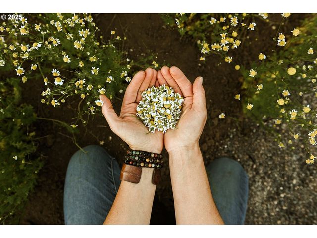 230 JENNINGS Rd, Trout Lake, WA 98650