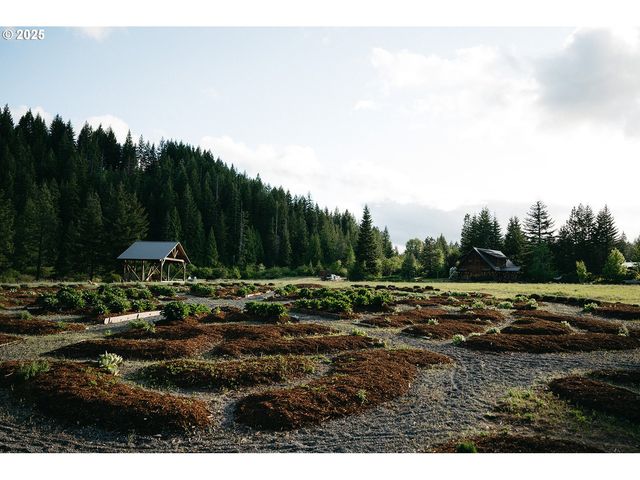 230 JENNINGS Rd, Trout Lake, WA 98650