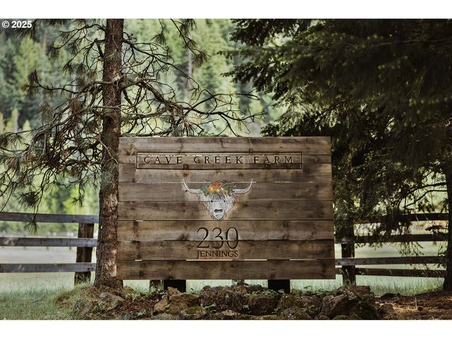 230 JENNINGS Rd, Trout Lake, WA 98650