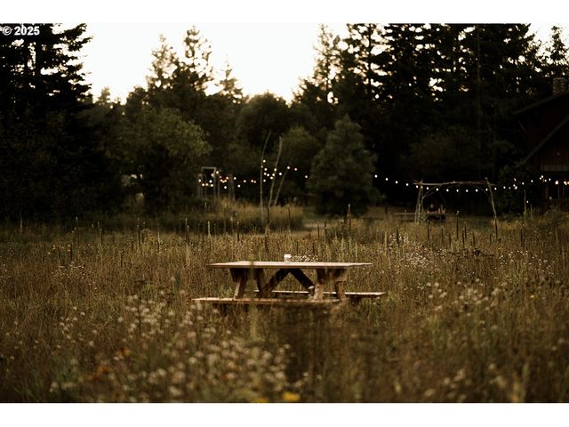 230 JENNINGS Rd, Trout Lake, WA 98650