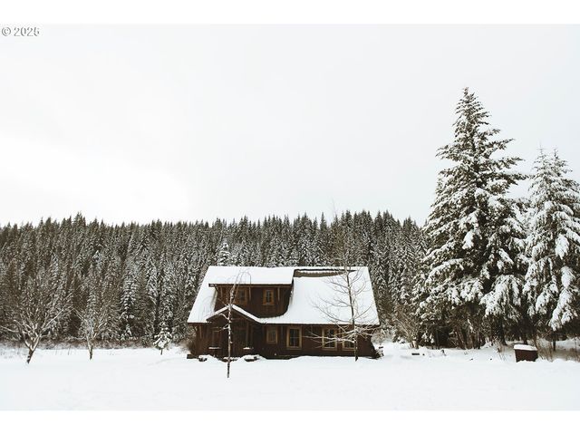 230 JENNINGS Rd, Trout Lake, WA 98650