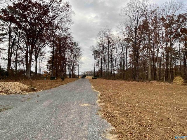 162 Widgren Drive, Arab, AL 35016