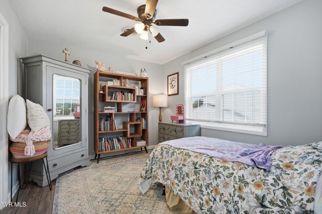 211 Crystal Springs Circle, Gray, TN 37615