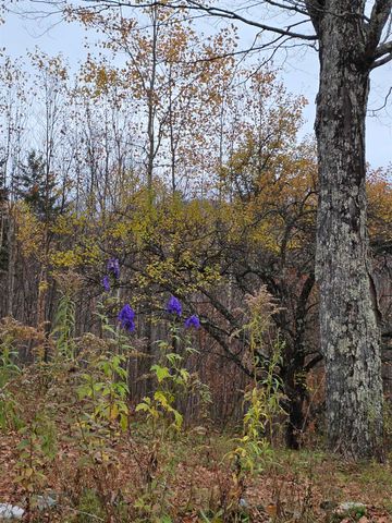 1846 Dartt Hill Road, Bethel, VT 05032