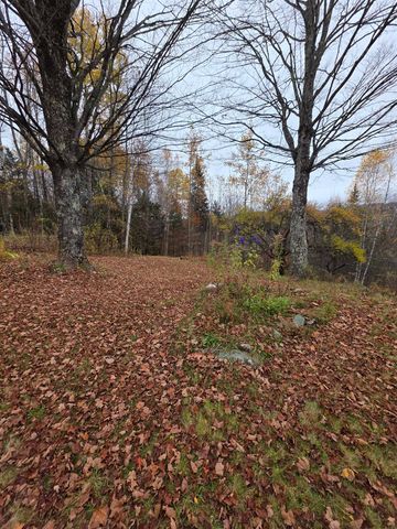 1846 Dartt Hill Road, Bethel, VT 05032