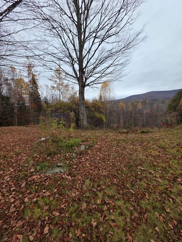 1846 Dartt Hill Road, Bethel, VT 05032
