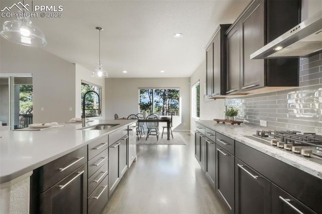 16267 Thunder Cat Way, Monument, CO 80132