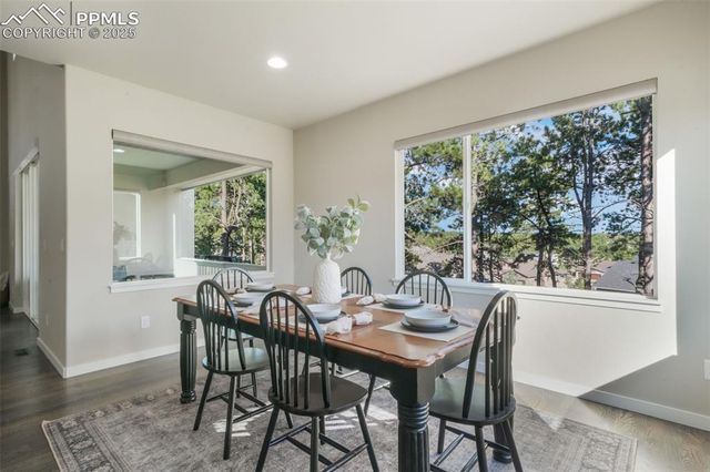 16267 Thunder Cat Way, Monument, CO 80132