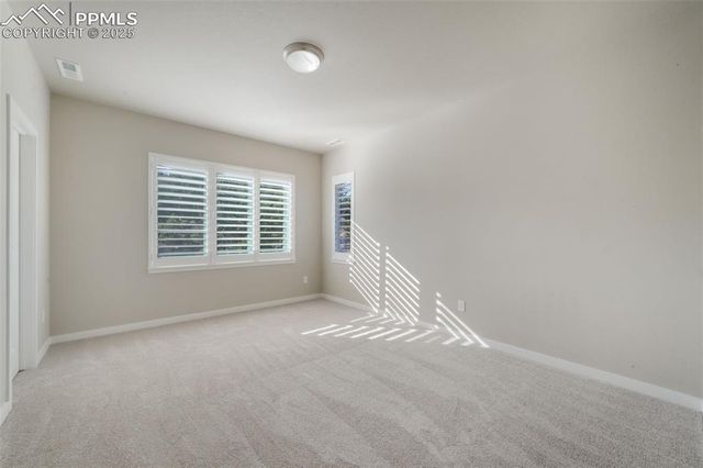 16267 Thunder Cat Way, Monument, CO 80132