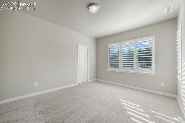 16267 Thunder Cat Way, Monument, CO 80132