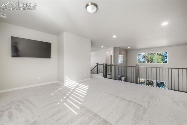 16267 Thunder Cat Way, Monument, CO 80132