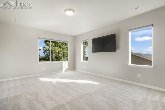 16267 Thunder Cat Way, Monument, CO 80132