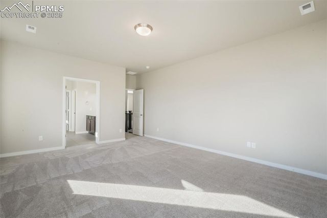 16267 Thunder Cat Way, Monument, CO 80132