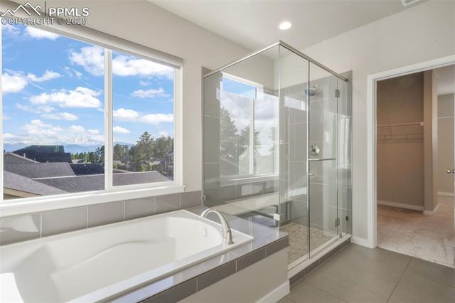 16267 Thunder Cat Way, Monument, CO 80132