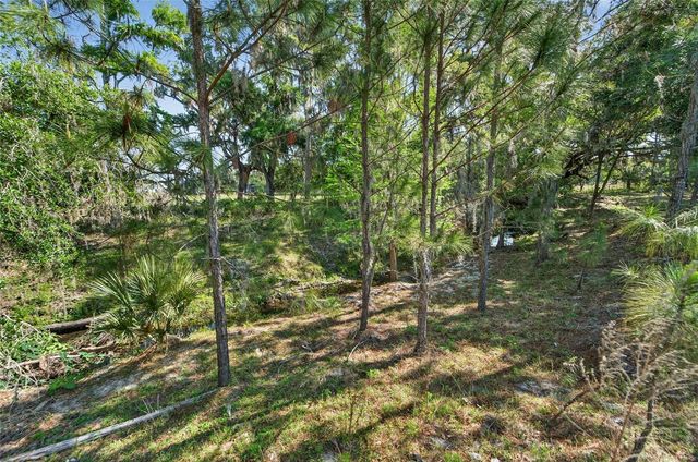 CARLTON ROAD, Plant City, FL 33565