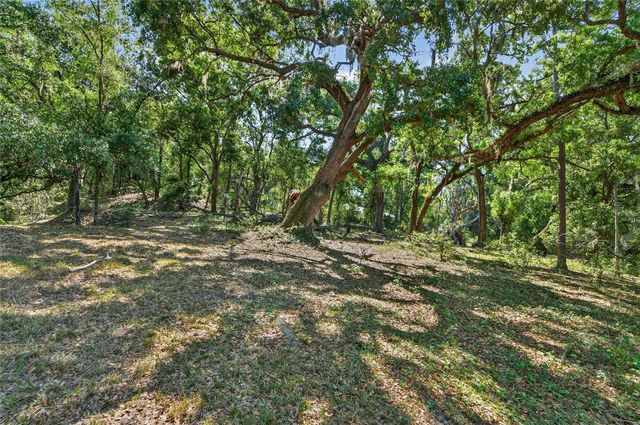 CARLTON ROAD, Plant City, FL 33565