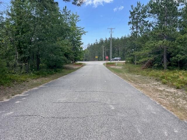 12 Acres Michigan Oaks Lane, Indian River, MI 49749
