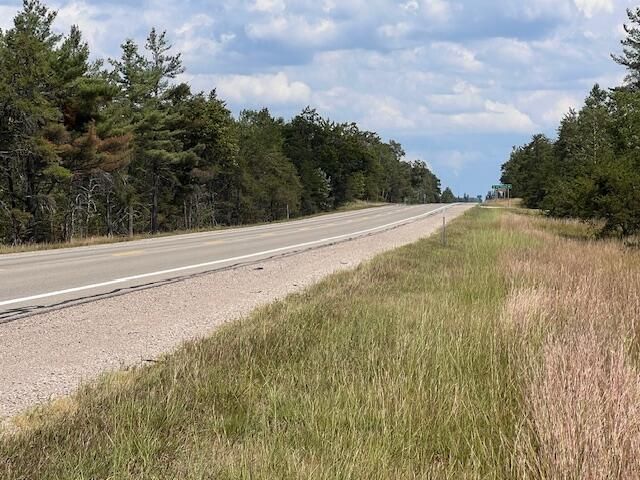 12 Acres Michigan Oaks Lane, Indian River, MI 49749