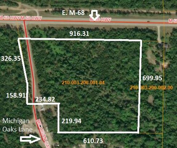 12 Acres Michigan Oaks Lane, Indian River, MI 49749
