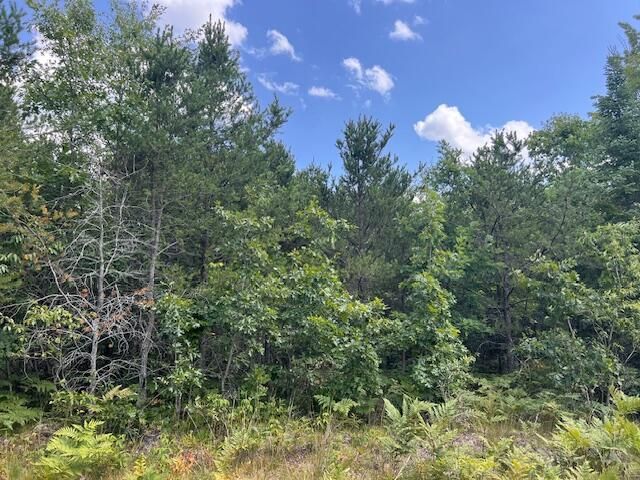 12 Acres Michigan Oaks Lane, Indian River, MI 49749