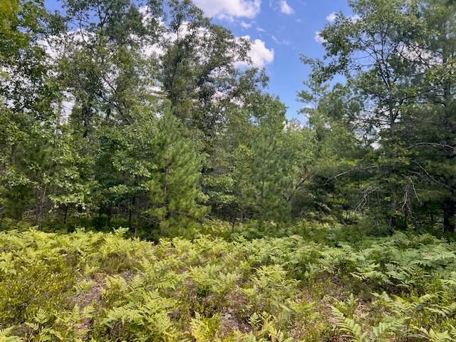 12 Acres Michigan Oaks Lane, Indian River, MI 49749