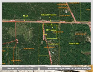 12 Acres Michigan Oaks Lane, Indian River, MI 49749
