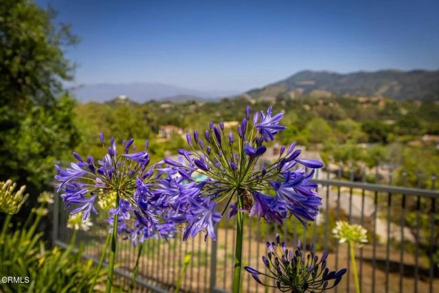 10945 Alto Court, Oak View, CA 93022