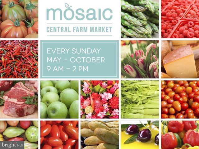 4213 SAINT JEROME DR, Annandale, VA 22003