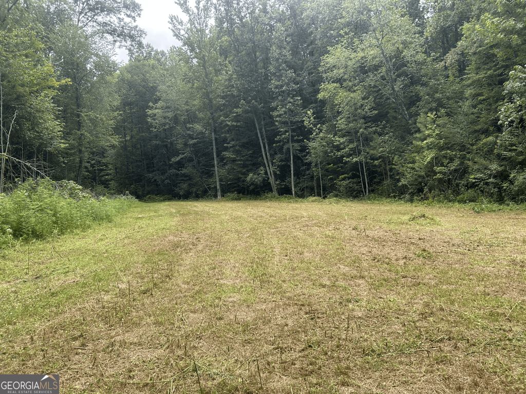 0 Boardtown Road, Ellijay, GA 30540