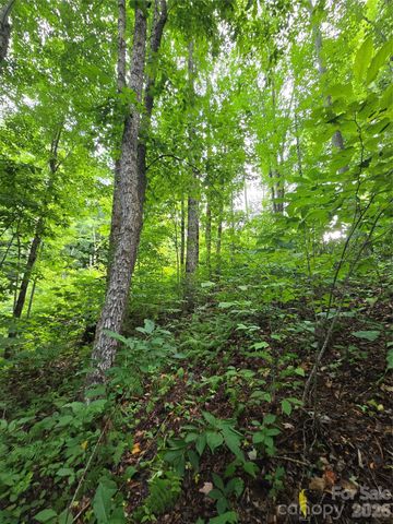 108 Tenderfoot Trail 108 & 109, Maggie Valley, NC 28751