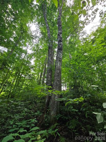 108 Tenderfoot Trail 108 & 109, Maggie Valley, NC 28751